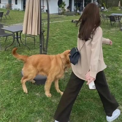 摇滚兄弟